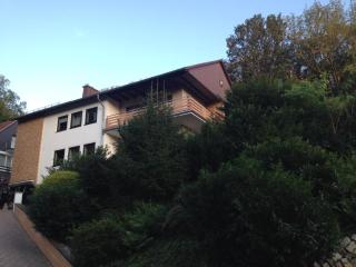 Bergoase - Bad Lauterberg - 1