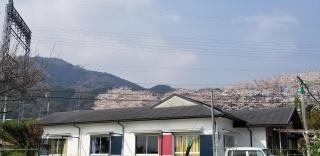 KAFUU guesthouse+cafe - Kashiba - 0