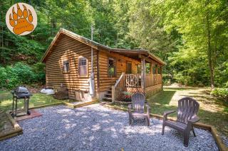 Mosey Bear, Hot Tub, WIFI, 1089 FREE tickets each paid day, Dollywood and More - Sevierville - 0