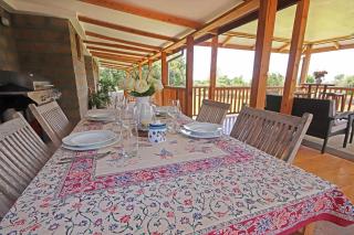 Olesamara Collection - 3