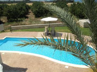Citrus Grove Villa - Argaka - 9