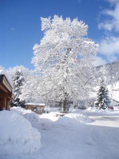 Haus Seifriedsberger - 8