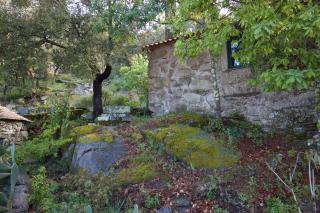 Casa da Eira- into the Nature - Macieira de Alcoba - 2