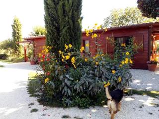 Il casale di rosaria - Zagarolo - 2