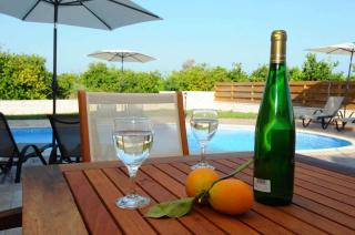 Citrus Grove Villa - Argaka - 0