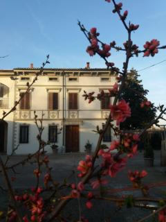 B&B Il Ponticello - Gualtieri - 7