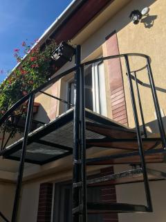 Home garden oasis - 1