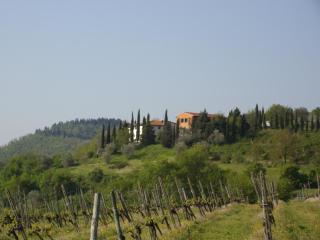 I Granai - Pontassieve - 6
