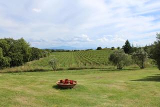BORGO MONTEMAGGIORE - Rapolano Terme - 4