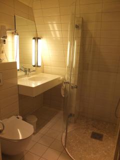 Fleischer's Hotel - 9