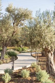 Elies Residences Luxury Apartments - Mitilene - 1
