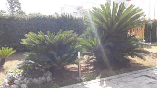 Villa Del Mar - Bari - 8