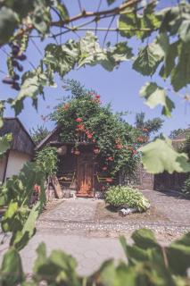 Hotel Patria - Beli Manastir - 8
