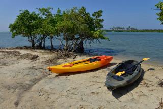 Kitelantis Tent Resort - Kalpitiya - 2