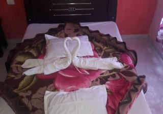 Ditto Room Nature View Residency - Mahabaleshwar - 7