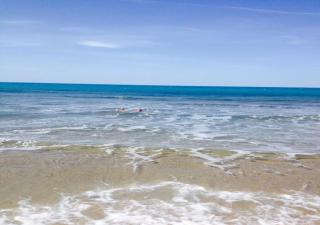 APPARTAMENTO CON TERRAZZA SUL MARE - 9