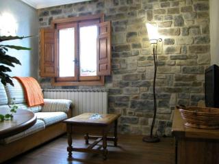 Apartamentos Pistolo - Ochagavía - 4