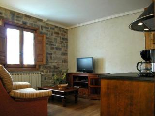 Apartamentos Pistolo - Ochagavía - 7
