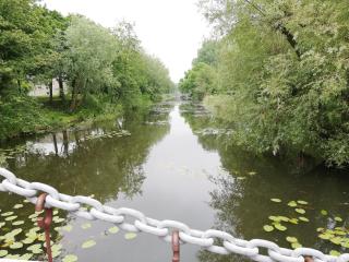 Homestay Utrecht - Utrecht - 1