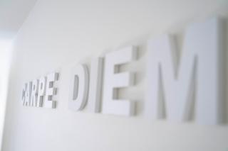 Carpe diem Noguchi 201- Adults Only - Saint-Idesbald - 3