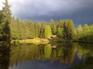 Lesní chaty "Hogo Fogo" - 4