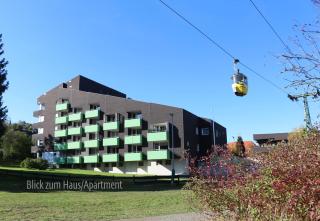 ferienapartment hahnenklee Apart 1 - Hahnenklee-Bockswiese - 8