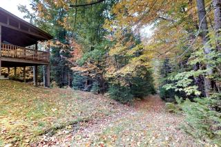 Lily's Pad - Greenville - 8