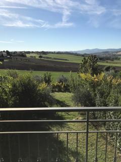 Casa Riccardo - Tavullia - 7