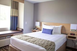 Microtel Inn & Suites by Wyndham Camp Lejeune/Jacksonville - Jacksonville - 8