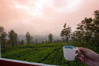 StayVista at Villa Sullivan with Heater & Indoor-Outdoor Games - Ooty - 6