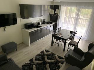 APARTAMENT GOLDEN ROSE 2 - Buşteni - 0