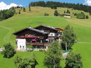 Modern holiday home near the ski area - Maria Alm am Steinernen Meer - 0