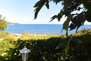 CANELLA 5 - Favone - 8