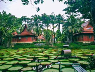 Ma Doo Bua Stay - SHA Extra Plus - Thalang - 2