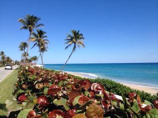 The Cottage Casita With Bikes & Private Pool! Home - West Palm Beach - 1