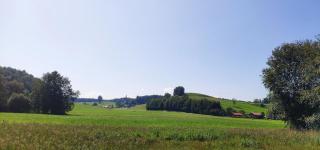 Ferienhof Degenhart - Mauth - 5