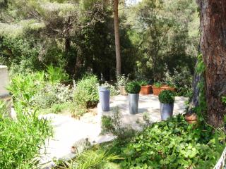 Plage des Salins Parc des Salins St Tropez - Saint-Tropez - 6