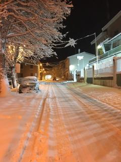 La casa del Pino Argentato - 1