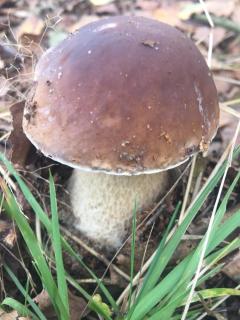 Wypoczynek na wsi Pod Akacją - 9