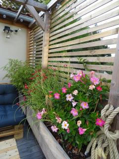 Casa Juno - Duvy - 6