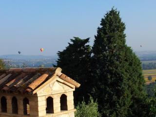 Agriturismo La Torraccia - Todi - 9