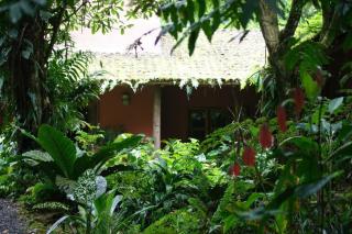 Hacienda La Isla Lodge - Sarapiquí - 4