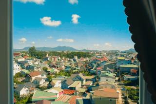 Cẩm Hoàng Vy - Da Lat - 4
