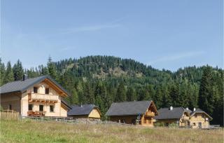 Gemuetliches Almhaus - Flattnitz - 5