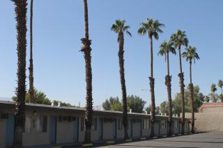 Indio Holiday Motel - Indio - 6