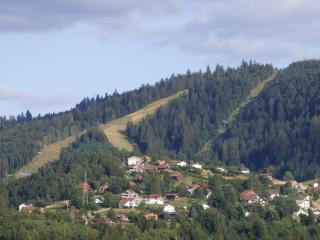 les charmes du lac Sauna et Spa - Gérardmer - 6