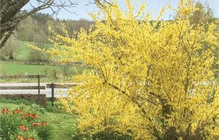 Lovely Home In Virserum With Wifi - 4