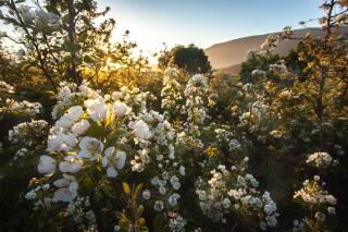 Lentelus Farmstay - Barrydale - 9
