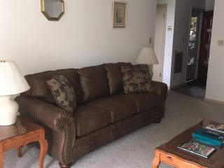 Cozt Downstairs Skyleaf D1 Condo - Sugar Mountain - 2