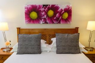 The Pecan Tree Guesthouse - 4